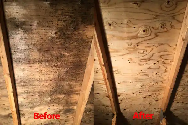 water damage restoration service Canastota